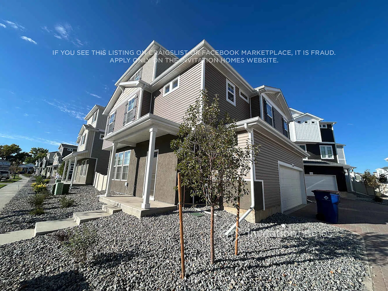 3408 Pearwood Dr Johnstown, CO 80534 — Photo 2