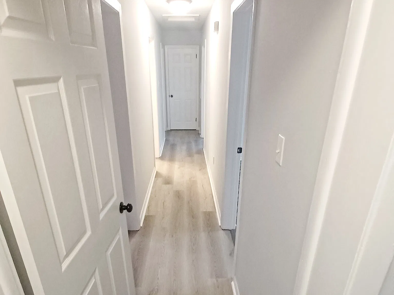 2 bed, 1000 sqft, $1,250 — Photo 2
