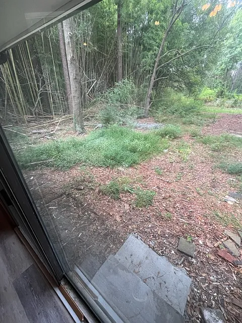 4 bed, 1800 sqft, $1,900 — Photo 2