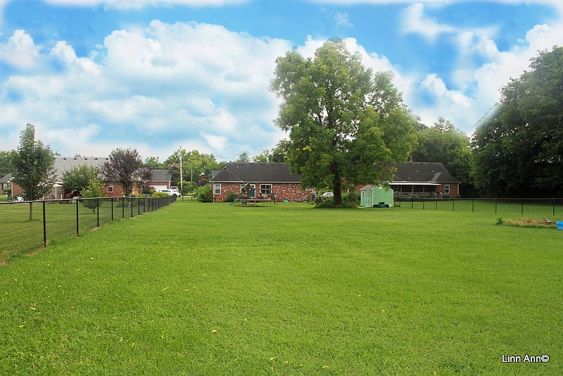 Large yard for pets!