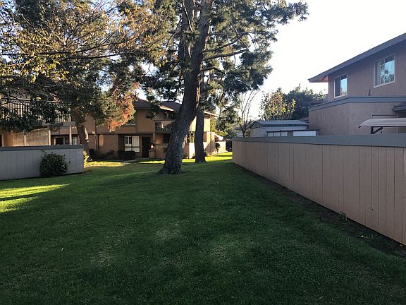 Beautiful Landscaping