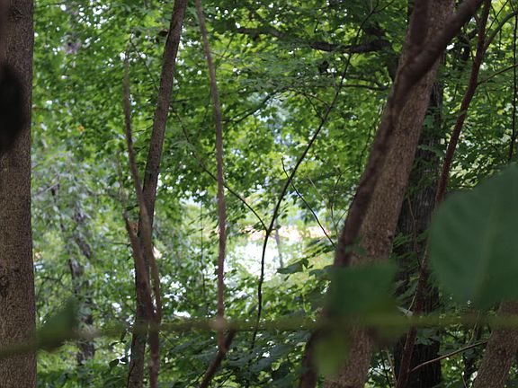 4th image of Mountain Crst Lot 50