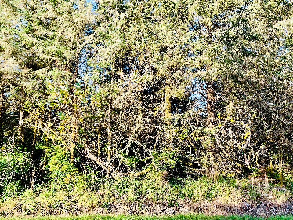 2nd image of 395 Duck Lake Drive NE