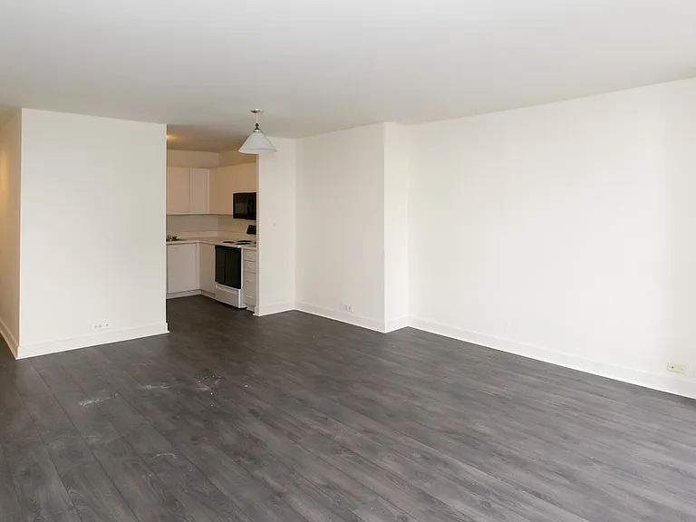 Dining/Living room