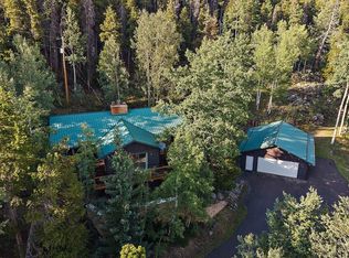 66 Lodgepole Circle, Evergreen, CO 80439