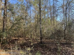197 W Woodland Dr Lot 197, Lumberton, MS 39455