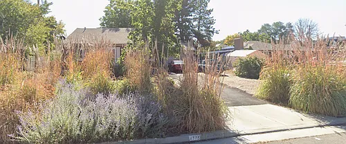 4775 S Meadowview Rd Photo 1