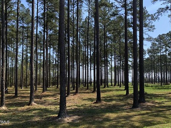5th image of 68 Cassie May Boulevard LOT 116 & 116A