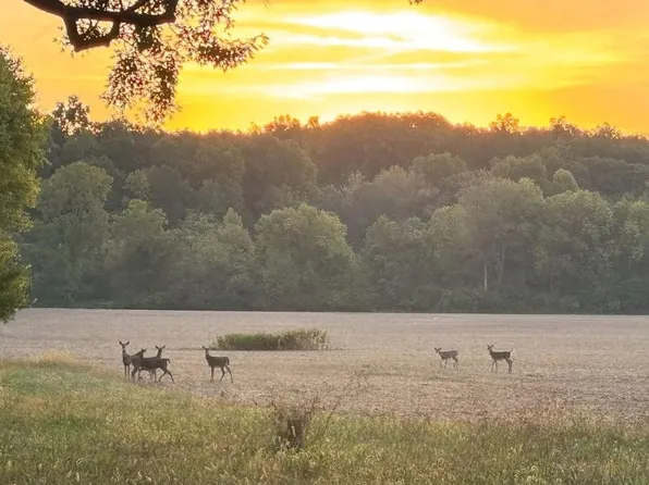 4595 E Hawkins Rd, Carbon, IN 47837