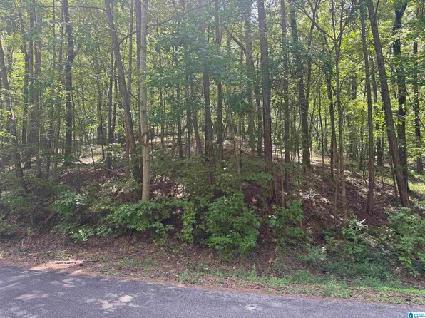 85 Mohawk Ct #22, Ohatchee, AL 36271