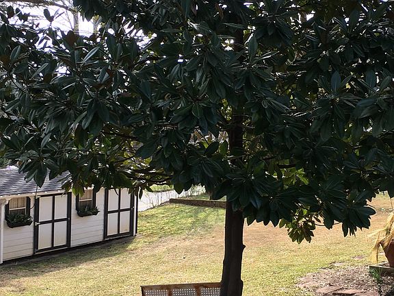 WorkShop/ “She Shed”