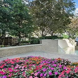 Rented by Royal Operation System