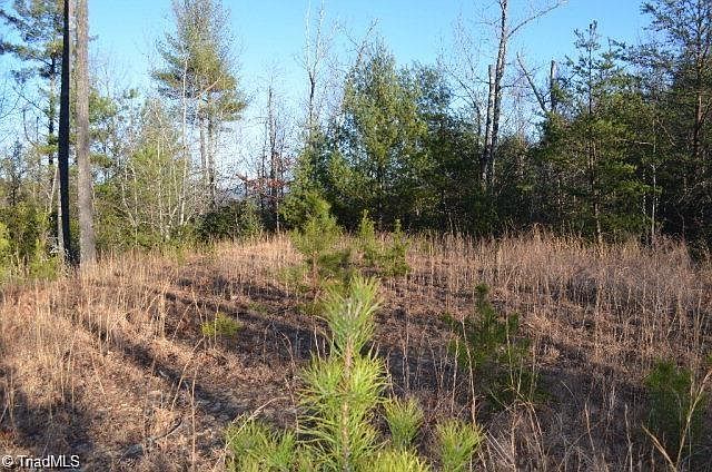 2nd image of 45 Deer Xing