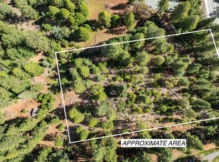 27605 State Highway 88, Pioneer, CA