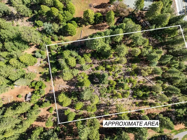 27605 State Highway 88, Pioneer, CA 95666