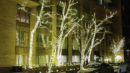 Rented by Level Group