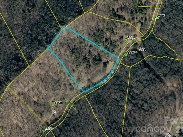 9999 Bee Log Rd, Burnsville, NC 28714