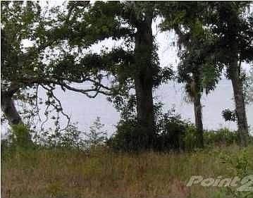 5th image of 4294 Hickory Shores Blvd