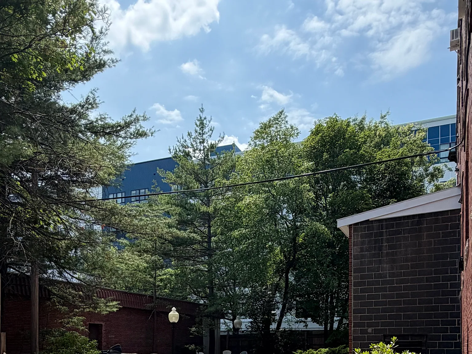 1 bed, 651 sqft, $1,700 — Photo 3