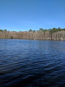 0 Hickory Landing Rd LOT 17, Elloree, SC, 29047