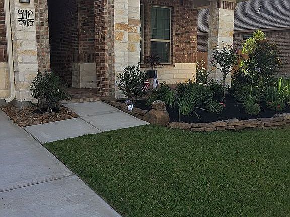 Solid wood front door 