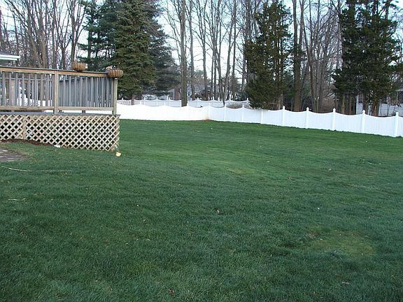 Backyard Winter 2009