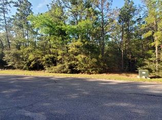 12 Walnut Ct, Huntsville, TX 77320