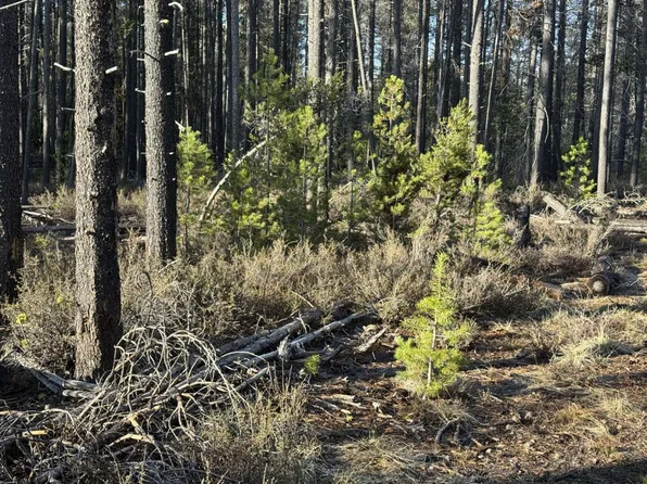 Artesian Dr, Chiloquin, OR 97624