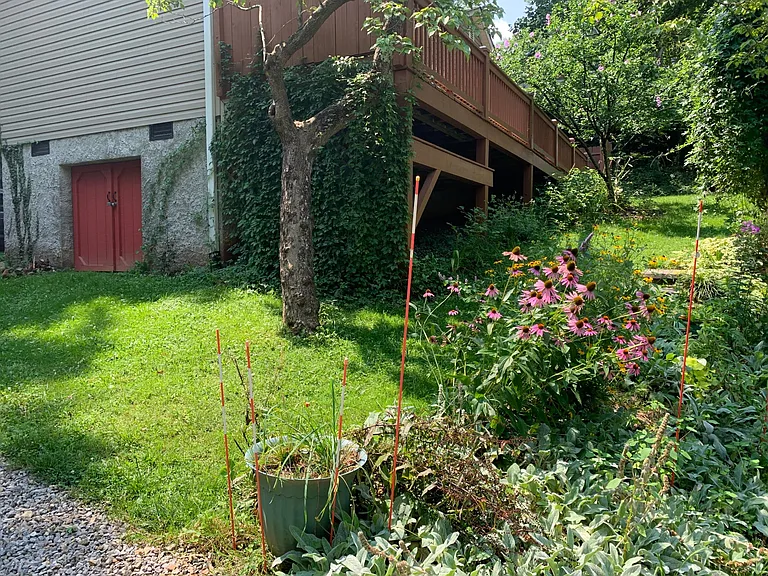 67B Sand Hill School Rd — Photo 30