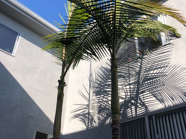 11007-11011 Palms Blvd #36