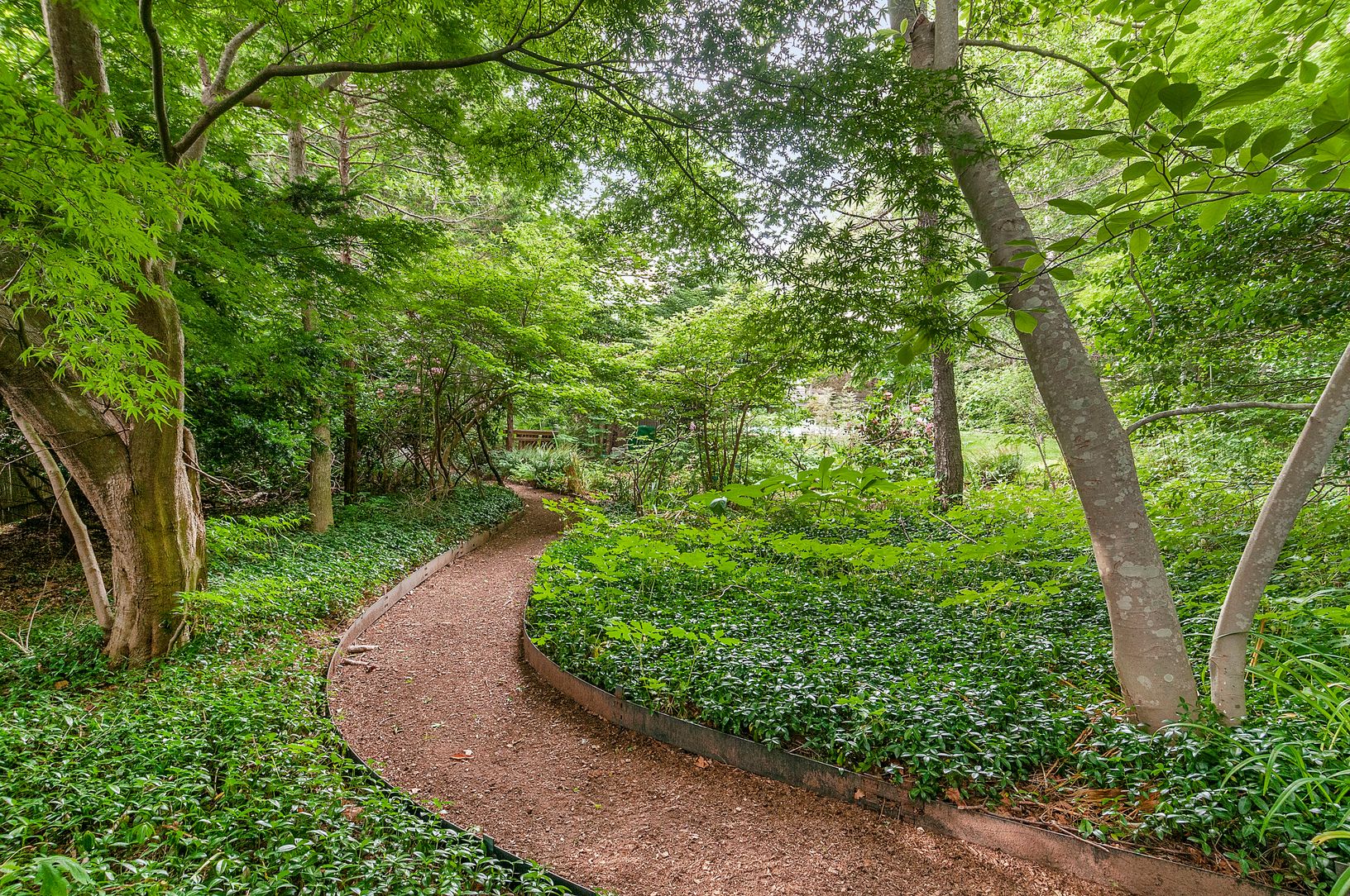  Park like setting with Mature Specimen Plantings    