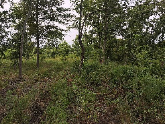 Back of property