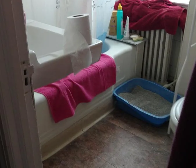 4324 Walnut St #3REAR — Photo 3