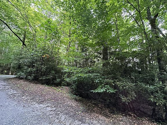 5th image of 0 Hemlock Falls Rd