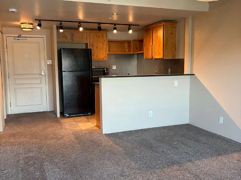 417 E Kiowa St #602 — Photo 7