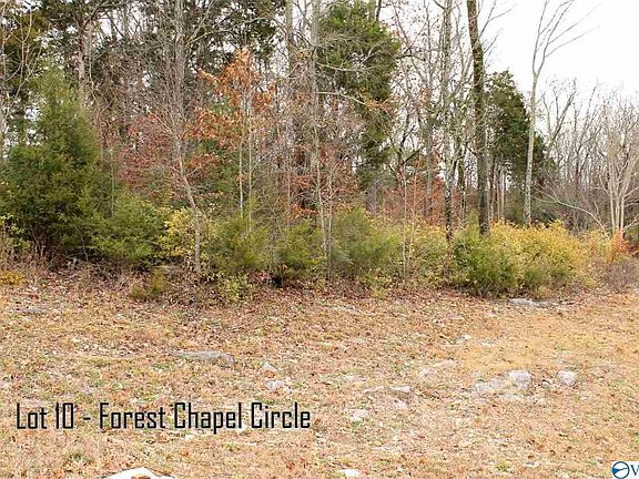 3rd image of 0 Forest Chapel Cir NE