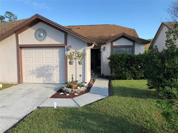8517 Sparrowhawk Ct, Orlando, FL 32829