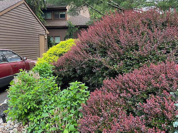 2nd image of 37 Hickory Hollow Ct