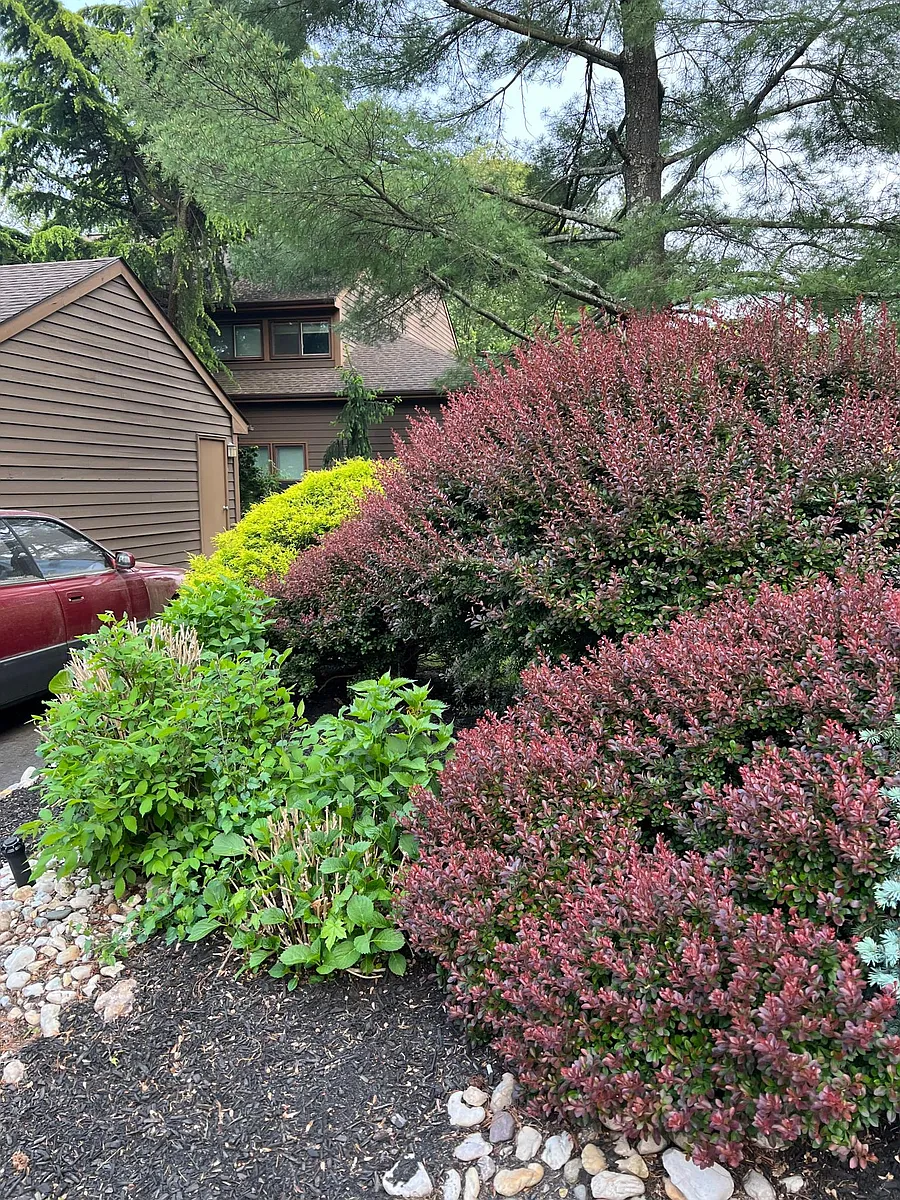 Building Photo - 37 Hickory Hollow Ct