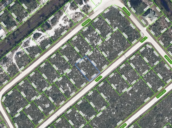 3147 Theil Pl, Lake Placid, FL 33852