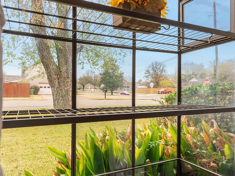 Window View