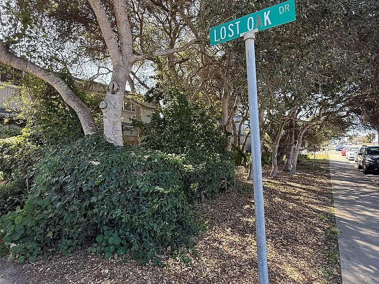 2003 Lost Oak Dr #A — Photo 31