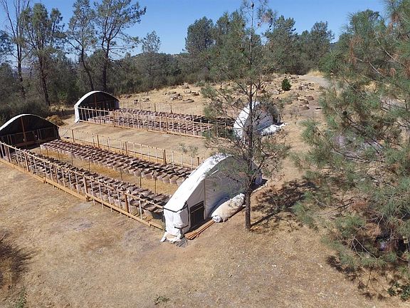 4th image of 5467 Appaloosa Way
