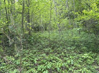 0 Arrowhead Ln, Whittier, NC 28789