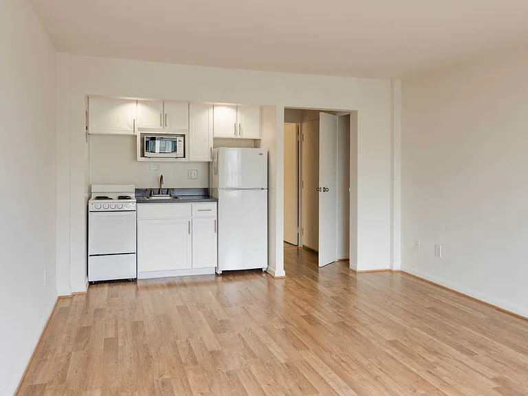 Studio Kitchen and Living Room