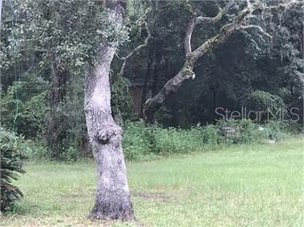SW 49TH CT LOT 18, WEBSTER, FL 33597