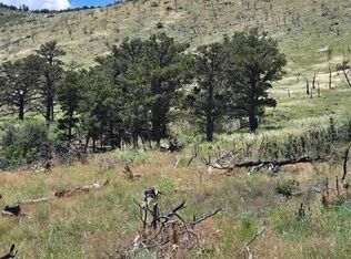 Township Road 25 Trl #24, Cotopaxi, CO 81223