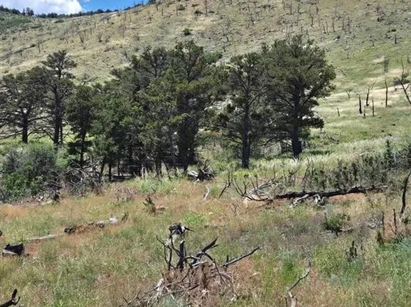 Township Road 25 Trl #24, Cotopaxi, CO 81223