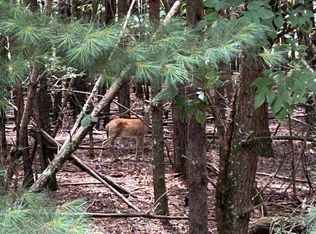 LOT 6 Summit Dr, Blairsville, GA 30512