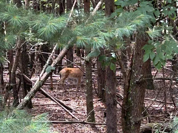 LOT 6 Summit Dr, Blairsville, GA 30512